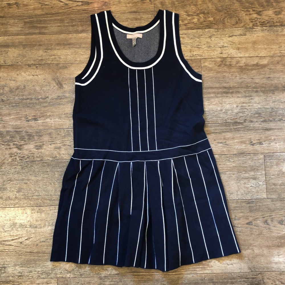Banana Republic Navy and White Sleeveless Pleated Dress
